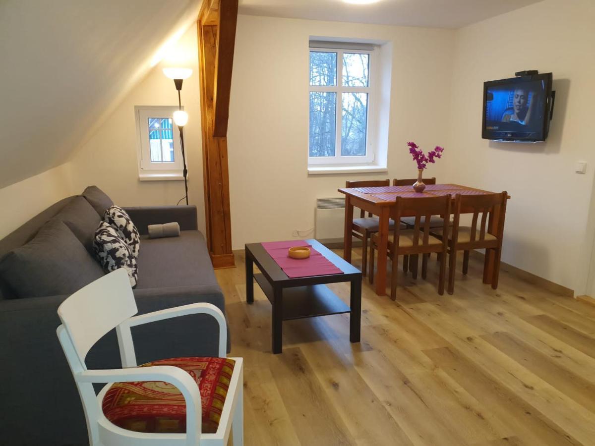 Apartmany Rudnik Bolkov Екстериор снимка