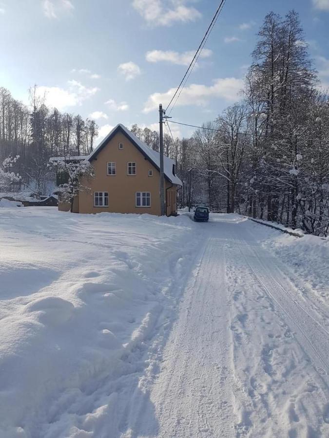 Apartmany Rudnik Bolkov Екстериор снимка